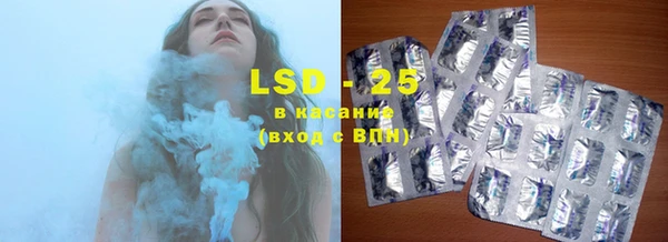 прущие грибы Зеленодольск