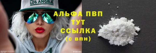прущие грибы Зеленодольск