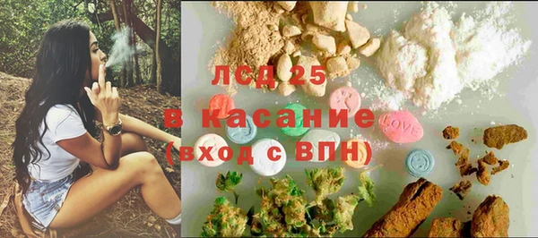 прущие грибы Зеленодольск