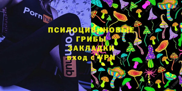 прущие грибы Зеленодольск