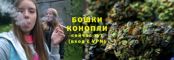 прущие грибы Зеленодольск