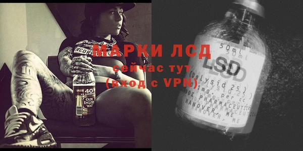 прущие грибы Зеленодольск