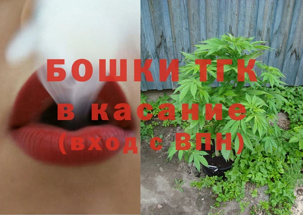 прущие грибы Зеленодольск
