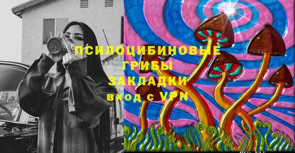 прущие грибы Зеленодольск